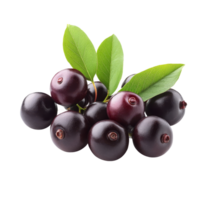 Vibrant Indian gooseberries with green leaves on a transparent background showcase their rich color and texture, Indiangooseberry isolated on transparent background png