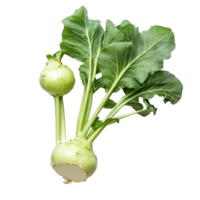 Fresh kohlrabi with vibrant green leaves arranged on a clean transparent backdrop showcasing its natural appeal, Fresh kohlrabi with green leaves on transparent background png