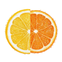 Slices of vibrant orange and lemon isolated on a clean transparent background showcasing freshness and zest, Orange and lemon slice isolated on transparent background png