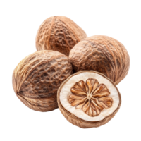 Freshly harvested nutmeg seeds displayed on a transparent background highlighting their unique texture and shape, nutmeg isolated on transparent background png