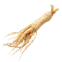 Fresh ginseng root isolated on a transparent background showcasing its unique shape and texture for herbal use, ginseng isolated on transparent background png
