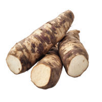 Freshly harvested yacon roots displayed on a clean transparent background ready for culinary use or health benefits, Fresh Yacon roots on transparent background png