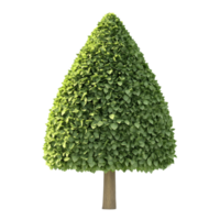 Isolated coneshaped tree on a transparent background showcasing a lush green crown with vibrant leaves, Cone shape tree flat 3d isolated on transparent background png