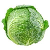Fresh green cabbage resting on a clean transparent background highlighting its texture and vibrant color, Red cabbage on transparent background png
