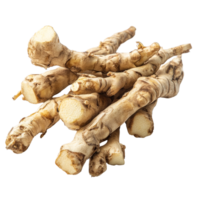 Fresh Kaempfer finger root, a unique Thai herb used in traditional and modern cuisines, displayed on a transparent background, Kaempfer or finger root Krachai Thai herb on transparent background png
