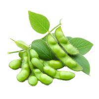 Fresh green soybeans with leaves displayed on a clean transparent background for culinary use and nutrition, green soybeans on transparent background png