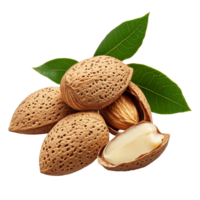 A collection of raw almonds with shells and green leaves on a transparent background, Group of almonds with shell isolated png
