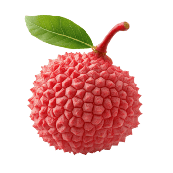 Fresco lychee Fruta aislado con un verde hoja en un transparente transparente antecedentes exhibiendo sus único textura, lychee aislado en transparente transparente antecedentes png