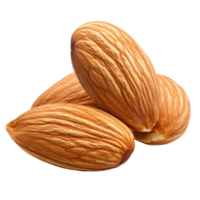 Delicious almonds isolated on a transparent background showcasing their natural beauty and texture, almond isolated on transparent background png