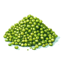 A vibrant pile of mung beans isolated on a transparent background, showcasing their bright green color and texture, Pile of mung beans isolated Stock Illustration png