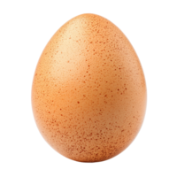 Single brown egg isolated on a transparent background, showcasing its smooth texture and natural speckles, egg isolated on transparent background png