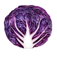 Slice of vibrant red cabbage showcasing intricate leaf patterns isolated on a plain transparent background, Red cabbage slice with leaf isolated on transparent background png