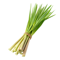 Fresh lemongrass bundle isolated on a clean transparent background, showcasing its vibrant green stalks, Lemongrass isolated on transparent background png