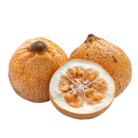 Fresh Santol fruit isolated on a transparent background, showcasing its unique texture and vibrant color, Santol fruit isolated on transparent background png
