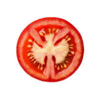 Freshly sliced tomato on a clean transparent background highlighting its vibrant colors and juicy texture, tomato slice on transparent background png