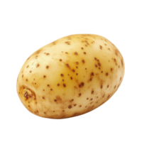 Freshly harvested potato on a clean transparent background ready for culinary use or artistic presentation, Potato isolated on transparent background png