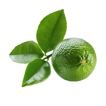 Fresh lime with green leaves isolated on a clean transparent background showcasing its vibrant color and texture, lime with leaf isolated on transparent background png