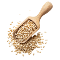 A wooden scoop filled with pearl barley rests on a transparent background, highlighting its natural texture and color, pile of pearl barley in wood scoop on transparent background png