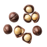 Macadamia nut seeds showcasing their smooth texture and rich color on a clean transparent background for culinary use, Macadamia nut seeds isolated on transparent background png