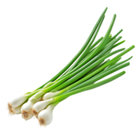 Fresh green onions isolated on a clean transparent background, showcasing their vibrant colors and healthy appearance, Green onion isolated on transparent background png