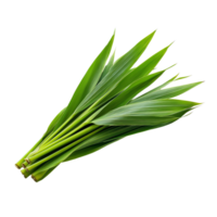 Fresh pandan leaves arranged neatly on a transparent background, showcasing their vibrant green color and texture, pandan leaves isolated on transparent background png
