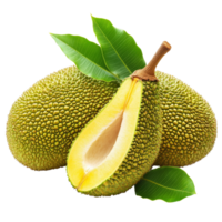 Freshly harvested jackfruits with vibrant leaves displayed on a transparent background for culinary inspiration, jack fruits with leaf on transparent background png