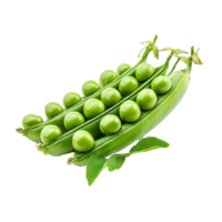 Fresh green peas displayed in pods against a clean transparent background, showcasing their vibrant color and texture, Peas star Incas on transparent background png