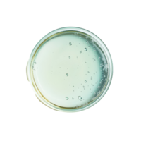 Liquid in a petri dish with bubbles over a transparent background in a laboratory setting, Liquid in petri dish over transparent background flat lay png