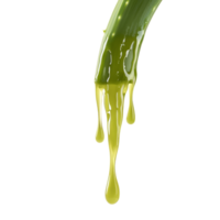 Aloe vera gel dripping from a leaf on a transparent background with a touch of transparent hue, Aloe vera dripping over transparent background png