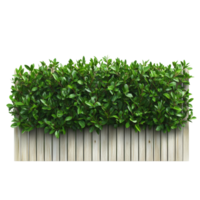 Green trimmed bush forming an attractive fencing under bright natural light on a transparent backdrop, green trimmed bush fencing, file of isolated object with shadow on transparent background png
