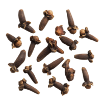 Fresh cloves arranged on a clean transparent background showcasing their distinctive shapes and rich color, ideal for cooking or decoration, cloves on transparent background png