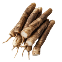 Fresh yacon roots displayed on a transparent background, highlighting their unique shape and texture for culinary uses, Fresh Yacon roots on transparent background png