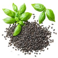Basil seeds and fresh leaves displayed on a transparent background for culinary inspiration, Basil seeds on transparent backgroundfile png