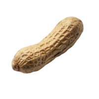 Isolated peanut on a clean transparent background showcasing its natural texture and shape in a studio setting, Peanut isolated png