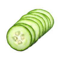 Freshly sliced cucumber arranged on a clean transparent background, showcasing its vibrant green color and texture, sliced cucumber isolated on transparent background png