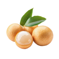 Fresh longan fruit with green leaf isolated on a transparent background showcasing its unique texture and color, fresh longan with leaf isolated on transparent background png