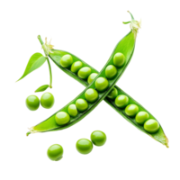 Fresh green pea pods with vibrant beans isolated on a clean transparent background for culinary presentation, Fresh green pea pod with beans isolated on transparent background png