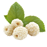 transparent raspberries with green leaves arranged on a clean transparent background showcasing their unique appearance, transparent raspberries isolated on transparent background png