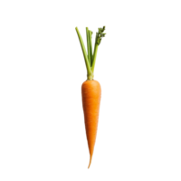 Fresh orange carrot with green tops placed on a clean transparent background for a vibrant, healthy display, slice carrot on transparent background png