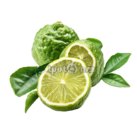Fresh bergamot fruit with green leaves displayed on a clean transparent background for culinary use, bergamot fruit with leaf isolated on transparent background png