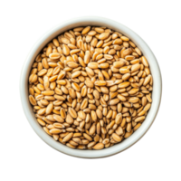 Wheat germ in a bowl on a transparent background, highlighting its nutritious and versatile culinary features, Wheat germ in a bowl on transparent background png