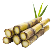 Fresh sugar cane stalks arranged on a clean transparent surface showcasing their natural texture and color, sugar cane on transparent background png