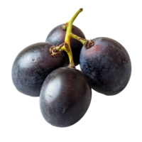 Burmese grape fruit clusters isolated on a transparent background highlighting their tropical charm and unique texture, burmese grape, tropical fruit isolated on transparent background png