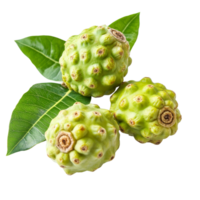 Noni fruit, also known as morinda citrifolia, displayed elegantly with green leaves on a clean transparent background, noni or morinda citrifolia fruit isolated on transparent background png
