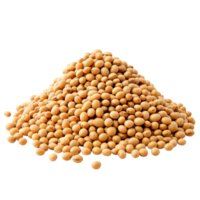 A heap of soybeans isolated on a transparent background for culinary and agricultural purposes, Heap of soybeans isolated on transparent background Clipping path included png