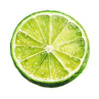 Fresh lime slice isolated on a clean transparent background, showcasing vibrant green color and juicy texture, Lime slice isolated on transparent background png
