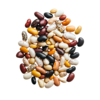 A variety of colorful beans arranged on a transparent background in a pleasing display, roasted coffee beans top view on transparent background png
