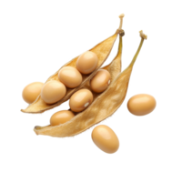 Freshly harvested soybean pods and seeds on a clean transparent background showcasing natural agricultural produce, Soybean isolated on transparent background png