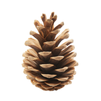 A single pine cone isolated on a transparent background showcasing its natural texture and intricate pattern, Pine cone isolated on transparent background png