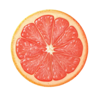 Fresh pink grapefruit sliced in half showing juicy segments against a transparent backdrop, pink grapefruit citrus fruit isolated on ransparent transparent background png